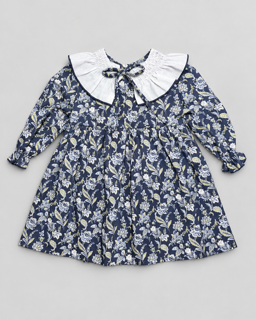 Clara Paisley Blue Dress With Paisley Print