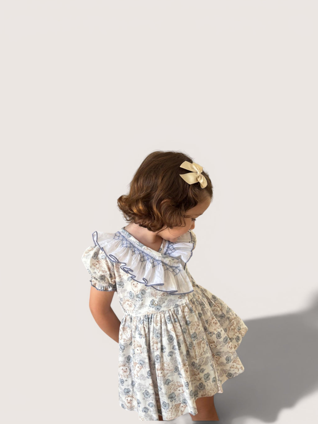 Smocked Dress With Hedgehog Print