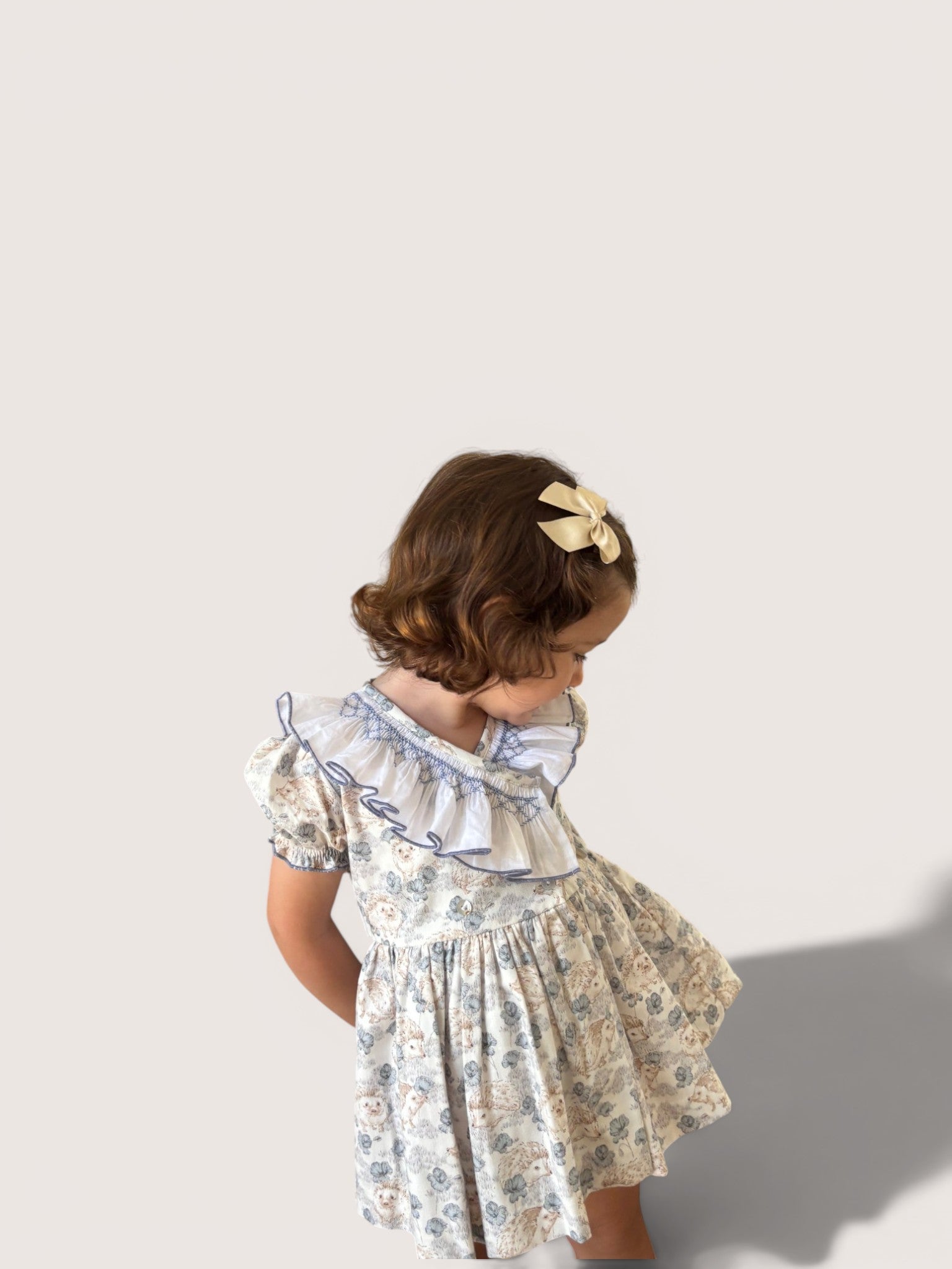 Smocked Dress With Hedgehog Print