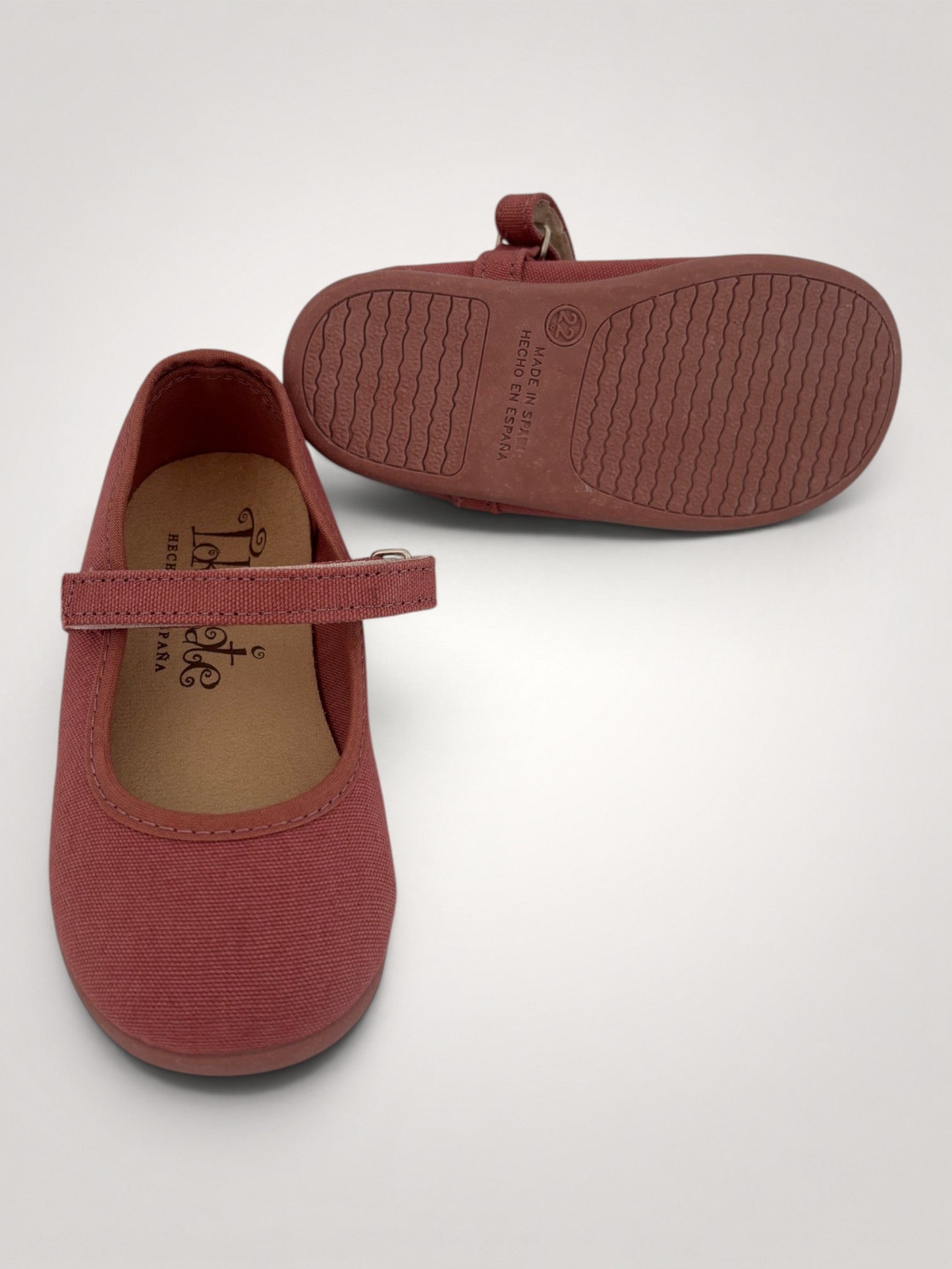 Mute Terracotta Rose Mary Jane Canvas