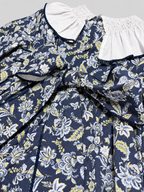 Clara Paisley Blue Dress With Paisley Print